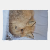 Linge De Cuisine Cute Little Fox Curling Up Winter Photo (Horizontal)