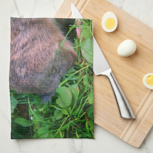 Linge De Cuisine Cute Wild Brown Rabbit Faune  (Quart Plié)