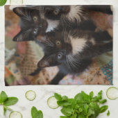 Linge De Cuisine Cutest Baby Animals | Black & White Kittens (Plié)