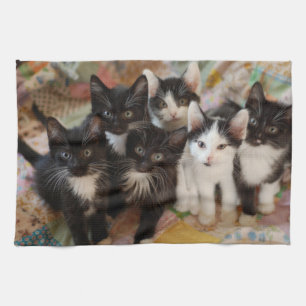 Linge De Cuisine Cutest Baby Animals Black & White Kittens