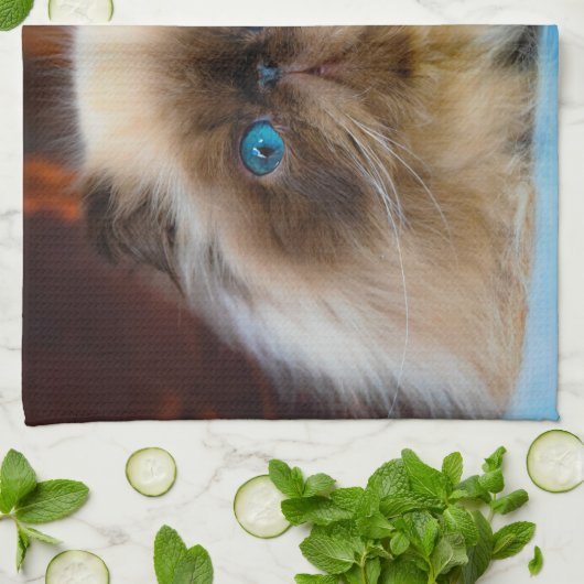 Linge De Cuisine Cutest Baby Animals | Himalayan Cat (Plié)