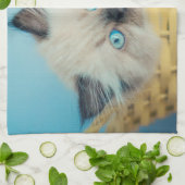 Linge De Cuisine Cutest Baby Animals | Himalayan Seal Point Cat (Plié)