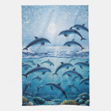 Dauphins pleine lune