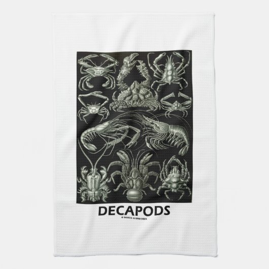 Linge De Cuisine Décapodes Ernest Haeckel Artforms de nature (Vertical)