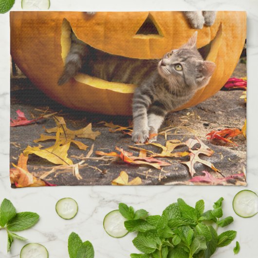 Linge De Cuisine Des chatons à Jack-o-Lantern (Plié)