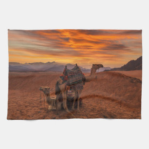 Linge De Cuisine Deserts   Bactrian Camel Egypt Sand Dune