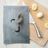 Linge De Cuisine Deserts | Bonneville Salt Flats Utah (Quart Plié)