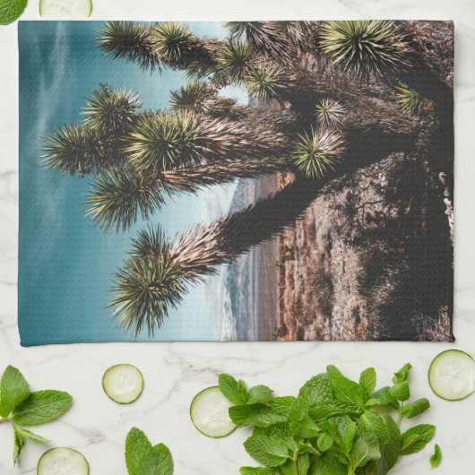 Linge De Cuisine Deserts | Cholla (Plié)