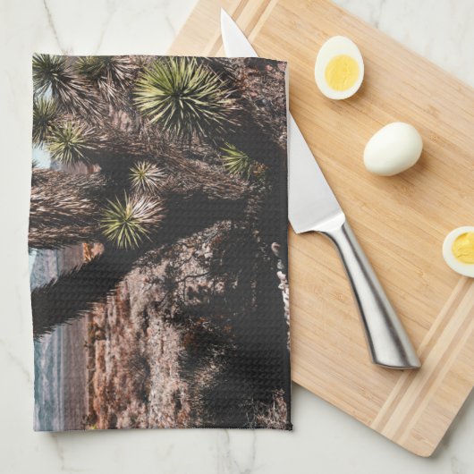 Linge De Cuisine Deserts | Cholla (Quart Plié)