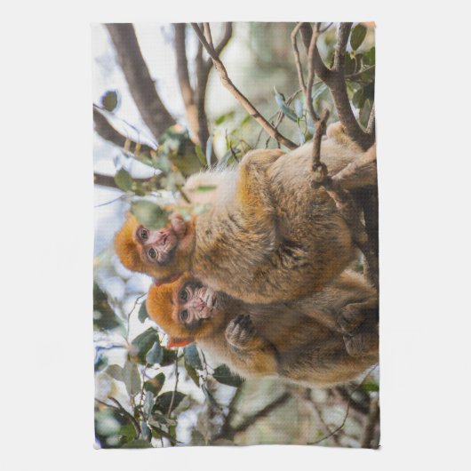 Linge De Cuisine Deux Mignons singes (Vertical)