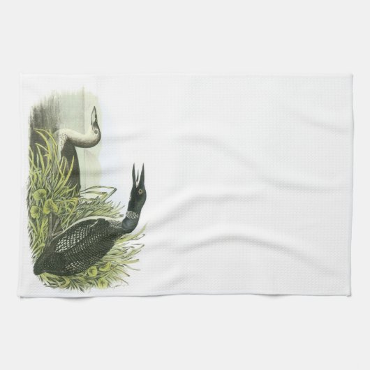 Linge De Cuisine Dingue commun par Audubon (Horizontal)