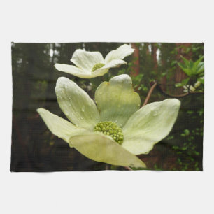 Linge De Cuisine Dogwoods et séquoias dans le parc national Yosemit