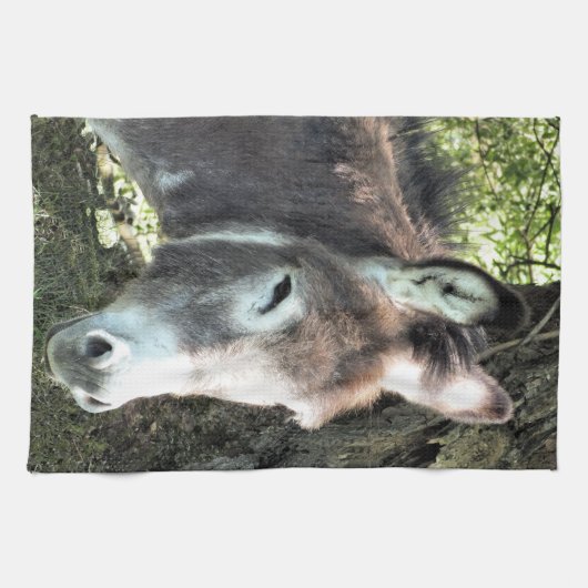 LINGE DE CUISINE DONKEY (Horizontal)