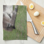 Linge De Cuisine Dormir mignon âne poulain bébé (Quart Plié)