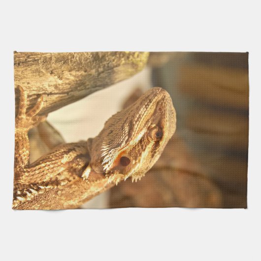 Linge De Cuisine Dragon barbu (Horizontal)