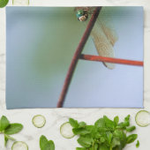 Linge De Cuisine Dragonfly On Wire Fence Close (Plié)