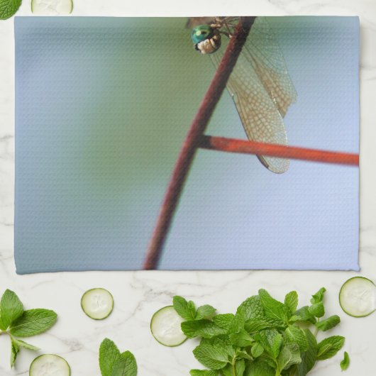 Linge De Cuisine Dragonfly On Wire Fence Close (Plié)