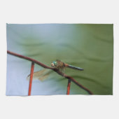 Linge De Cuisine Dragonfly On Wire Fence Close (Horizontal)