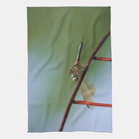 Linge De Cuisine Dragonfly On Wire Fence Close (Vertical)