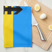 Linge De Cuisine Drapeau de fierté pansexuelle (Quart Plié)