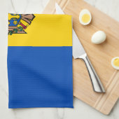 Linge De Cuisine Drapeau de la Moldavie (Quart Plié)