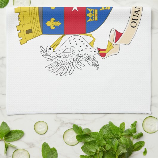 Linge De Cuisine Drapeau Saint-Barthélemy (Plié)