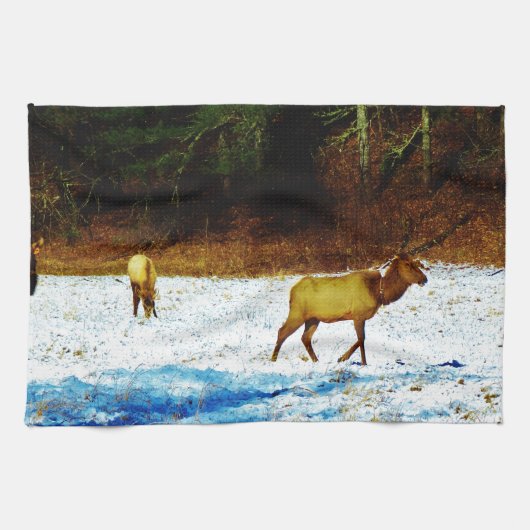 LINGE DE CUISINE DSC00131.JPG (Horizontal)