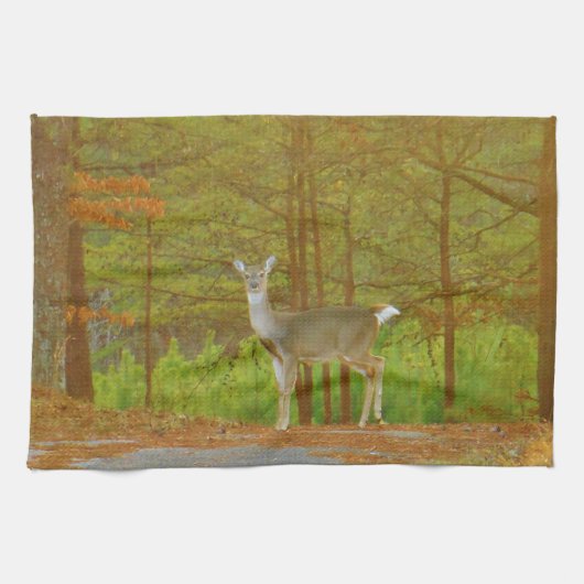 LINGE DE CUISINE DSCF4041.JPG (Horizontal)