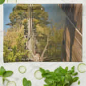 Linge De Cuisine Eau | Adirondack Chaise au lac (Plié)