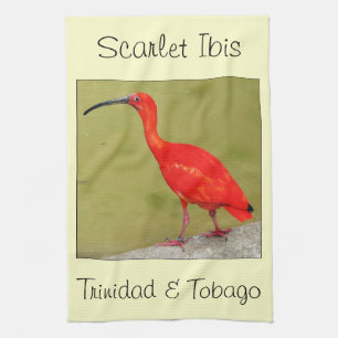 Linge De Cuisine Écarlate rouge IBIS du Trinidad-et-Tobago