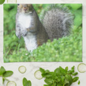 Linge De Cuisine Écureuil (Plié)