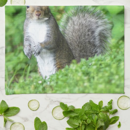 Linge De Cuisine Écureuil (Plié)