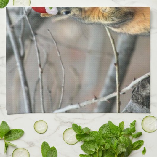 Linge De Cuisine Écureuil de Noël (Plié)