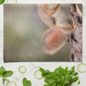 Linge De Cuisine Écureuil rouge (Plié)