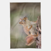 Linge De Cuisine Écureuil rouge (Vertical)