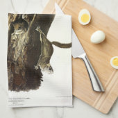 Linge De Cuisine Écureuil volant commun ou méridional, ou l'Assapan (Quart Plié)