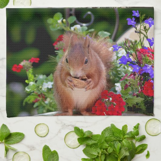 Linge De Cuisine Écureuils mignons (Plié)