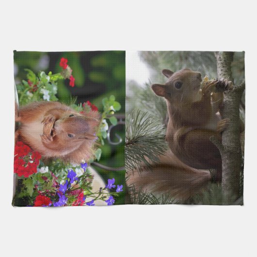 Linge De Cuisine Écureuils mignons (Horizontal)