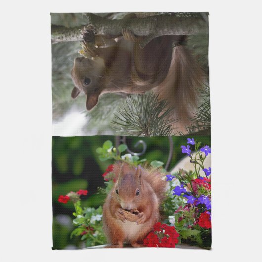 Linge De Cuisine Écureuils mignons (Vertical)