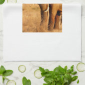 Linge De Cuisine Éléphants (Plié)