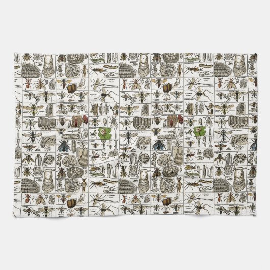Linge De Cuisine Entomologie vintage (Horizontal)