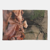 Linge De Cuisine Entre Les Troncs De L'Arbre (Horizontal)