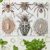 Linge De Cuisine Ernst Haeckel Arachnida Poster Coque-Mate i (Plié)