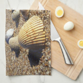 Linge De Cuisine États-Unis, Floride, coquillages côtiers (Quart Plié)