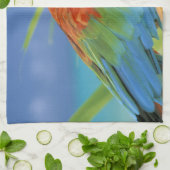 Linge De Cuisine États-Unis, Hawaï. Perroquet (Plié)