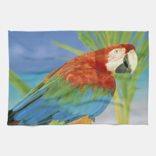 Linge De Cuisine États-Unis, Hawaï. Perroquet