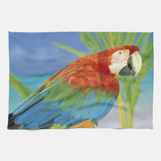 Linge De Cuisine États-Unis, Hawaï. Perroquet (Horizontal)