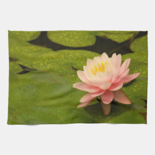 Linge De Cuisine États-Unis, Maryland, Westminster, Union 2