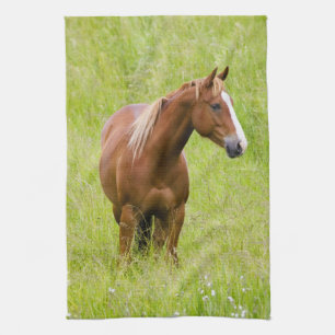 Linge De Cuisine États-Unis, Washington, Cheval dans un champ print