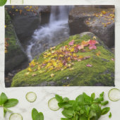 Linge De Cuisine États-Unis, Washington, Seattle (Plié)